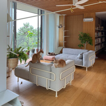 09 STROLL H CREAM, KVADRAT STEELCUT TRIO 3